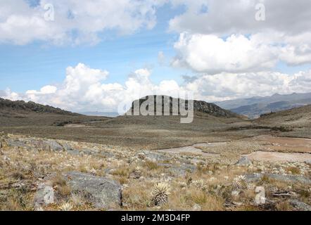 Sumapaz Paramo's Landscape in der Nähe von Bogot. Kolumbien mit endemischen Pflanzen-„frailejones“-Trockenseen, Felshügel im Zentrum und Andengebirge im Hintergrund Stockfoto