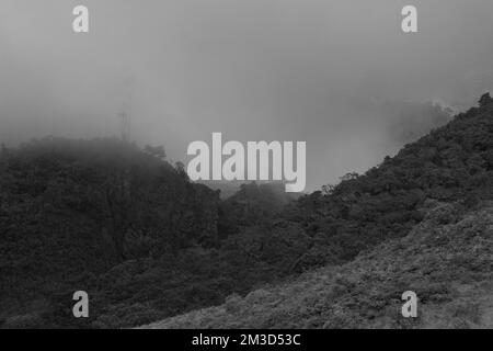 Geheimnisvoller, wolkiger andenwald mit Nebel an regnerischen Tagen Stockfoto