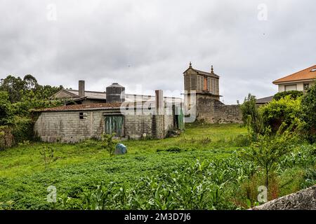 Schönes Dorf Vigo in Galizien, Spanien, einzigartig für seine Horreos, traditionelle Kornspeicher Scheunen Stockfoto