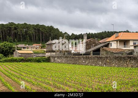 Schönes Dorf Vigo in Galizien, Spanien, einzigartig für seine Horreos, traditionelle Kornspeicher Scheunen Stockfoto