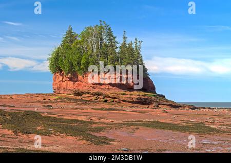 Insel hoch über der Flut am Burntcoat Head in der Bucht von Fundy in Neuschottland Stockfoto