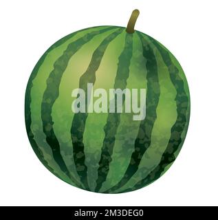 Handgezeichnete Vektor-Wassermelonen-Aquarelle, isoliert auf weißem Hintergrund. Stock Vektor