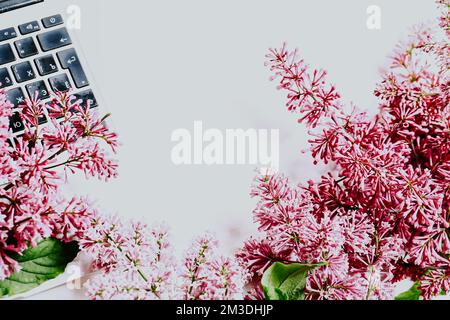 Flieder und Laptop auf weißem Hintergrund. Federzusammensetzung. Draufsicht Stockfoto