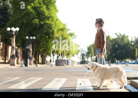 Blinder Seniorenmensch auf der Straße mit Blindenhund in der Stadt Stockfoto