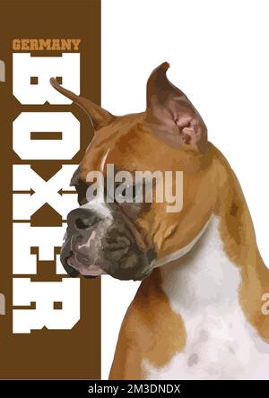 Eine Nahaufnahme eines krautigen, wunderschönen Boxerhundes. 3D-Vektorposter Stock Vektor