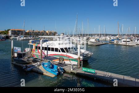 Die Great Sandy Straits Marina liegt am Hafen von Urangan in Hervey Bay, Queensland, Australien Stockfoto