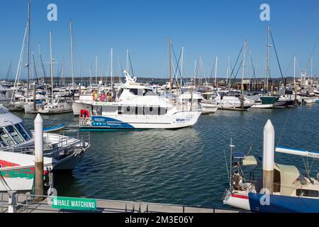 Die Great Sandy Straits Marina liegt am Hafen von Urangan in Hervey Bay, Queensland, Australien Stockfoto