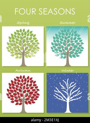 Set aus vier Baumbildern in vier Jahreszeiten: Frühling, Sommer, Herbst und Winter. Quadratische Vektorkarten auf einem frischen grünen Hintergrund. Stock Vektor