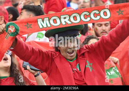 Marokkanischer Fan, Fußballfan. Halbfinale, Halbfinalspiel 62, Frankreich (FRA) - Marokko (MÄRZ) 2-0, am 14.. Dezember 2022, Al Bayt Stadium Fußball-Weltmeisterschaft 20122 in Katar ab November 20.. - 18.12.2022? Stockfoto