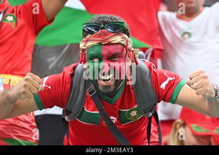 Marokkanischer Fan, Fußballfan. Halbfinale, Halbfinalspiel 62, Frankreich (FRA) - Marokko (MÄRZ) 2-0, am 14.. Dezember 2022, Al Bayt Stadium Fußball-Weltmeisterschaft 20122 in Katar ab November 20.. - 18.12.2022? Stockfoto