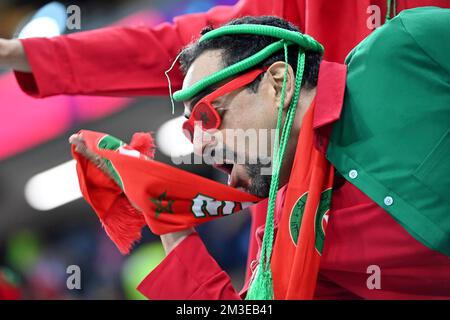 Marokkanischer Fan, Fußball-Fan. Mann. Halbfinale, Halbfinalspiel 62, Frankreich (FRA) - Marokko (MÄRZ) 2-0, am 14.. Dezember 2022, Al Bayt Stadium Fußball-Weltmeisterschaft 20122 in Katar ab November 20.. - 18.12.2022? Stockfoto