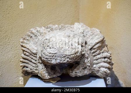 Bruchstücke von sima (Dachkrönung für die Sammlung und Ableitung von Regenwasser) mit Dachrinnen in Form eines Löwenprotoms aus dem Tempel der Conda Mango (etwa Mitte des 5.. Jahrhunderts v. Chr.) - Archäologischer Park der Segesta - Trapani, Sizilien, Italien Stockfoto