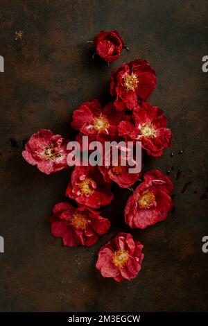 Wunderschöne rosa Dogrossenblumen im Hintergrund Stockfoto