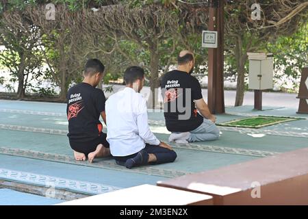 Doha, Katar. 12.. Dezember 2022. Männer, Moslems, Moslems, tagsüber Gebete, Gebet, Islam, Glaube, Religion. Fußball-Weltmeisterschaft 2022 in Katar ab 20,11. - 18.12.2022? Kredit: dpa/Alamy Live News Stockfoto