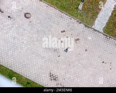 Architekturhintergründe und Vögel. Blick von oben. Stockfoto
