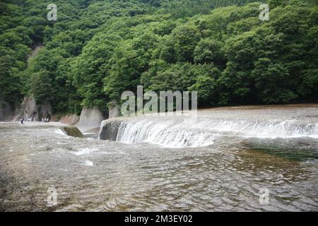 Malerische Fukiware Falls in Numata, Japan Stockfoto