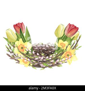 Willow-Nest-Aquarell mit Frühlingszweigen, Blüten-Tulpen, Narzissen isoliert auf weißem Hintergrund. Handgemalte Osterzeichnung als Einladung Stockfoto