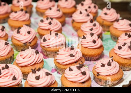 Cupcakes Mit Sahne- Und Schokoladenchips. Stockfoto