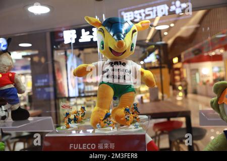 XI'AN, CHINA - 14. DEZEMBER 2022 - Fuleco, das Maskottchen der brasilianischen Weltmeisterschaft 2014, wird in einem Einkaufszentrum in Xi'an, Provinz Shaanxi, China, ausgestellt Stockfoto