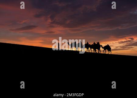 Eine Touristengruppe, geführt von einem ortskundigen beduinen-Reiseleiter, der auf Kamelen in der Wüste von Sealin, Katar, reitet. Stockfoto