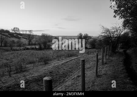 Im Spätherbst bei Sonnenaufgang bietet sich ein Blick auf die Landschaft des County Durham in Schwarz-Weiß Stockfoto