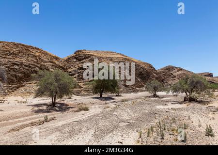 Kuiseb River, auf der Straße entlang der C14, Namibia Stockfoto