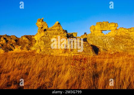 Savannah bei Sonnenuntergang im Isalo National Park, Madagaskar, Indischer Ozean Stockfoto