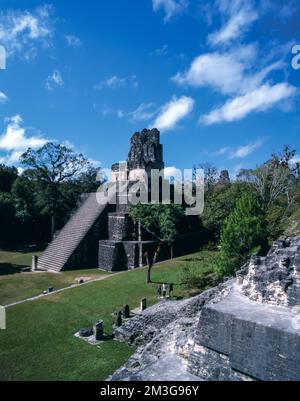 Tikal-Nationalpark, maya-Pyramiden. Stockfoto