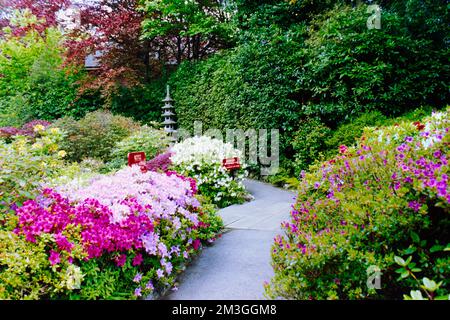 Compton Acres in Dorset. Aufgenommen auf Film in den 1990er Jahren. Stockfoto