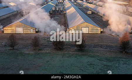 Luftaufnahme moderner gewerblicher Geflügelbroilerhäuser auf einer Hühnerfarm mit Industriebauten an einem kalten Morgen in Tennessee, USA. Stockfoto