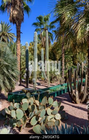 Villa Oasis - Heimat von Yves Saint Laurent und Pierre Berge, jetzt für die Öffentlichkeit geöffnet. Neben Jardin Majorelle - The Blue Garden, ebenfalls im Besitz von YSL. Stockfoto