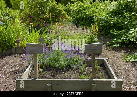 Im Klostergarten von Bad Doberan, Mecklenburg-Vorpommern Stockfoto