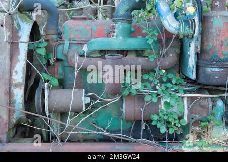 Detail des Motors in einem alten, verlassenen rostenden Traktor, der mit Unkraut und Brahlen überwuchert ist, Großbritannien Stockfoto