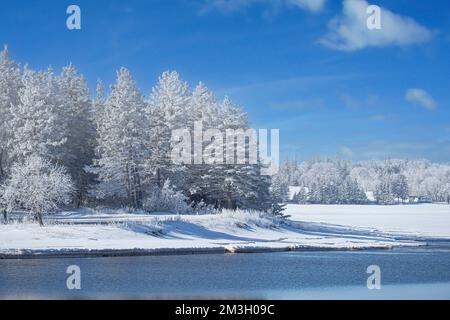 Schnee und Frost bedeckte Bäume und Vegetation entlang eines Flusses. Stockfoto