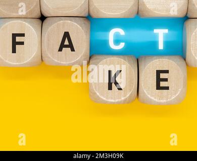 Holzblöcke mit Buchstaben, die die Wörter „Fakt“ und „Fake“ bilden Stockfoto