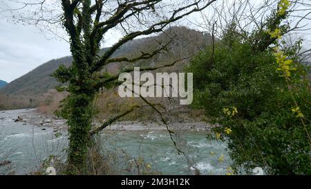 Seascape . Action. Helle tropische Bäume liegen neben dem Meer, das sich in Wellen in verschiedene Richtungen bewegt und große Berge sind sichtbar. Hallo Stockfoto