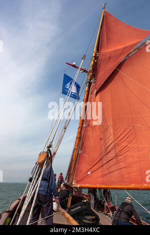 Besatzung, die an Bord des traditionellen Gaff Cutters „Jolie Brise“ arbeitet und im Wind in Solent, Hampshire, Großbritannien, läuft Stockfoto