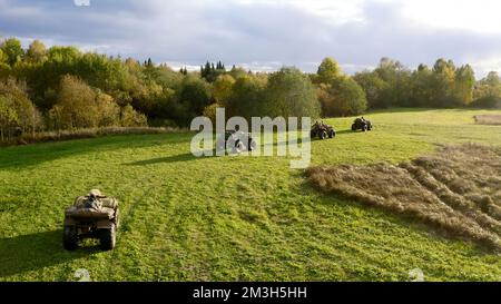 Grünes Sommerfeld. Clip. Ein Blick von einer Drohne für einen Spaziergang mit Quad auf einem hellen Feld in der Nähe eines Waldes. Hochwertige 4K-Aufnahmen Stockfoto