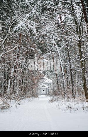 Wintergeschichte, Weihnachtsfeiertage. Eine Hütte in einem wunderschönen Pinienschneewald. Winterhaus im Schneewald Panoramalandschaft Stockfoto