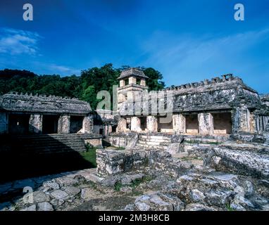 Archäologische Stätte von Palenque, maya-Kultur, Chiapas, Mesico. Stockfoto
