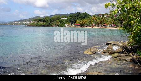 Anse Figuier, Martinique, Frankreich Stockfoto