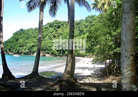 Anse Coulebre, Martinique, Frankreich Stockfoto