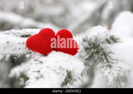 Zwei gestrickte Liebesherzen auf Tannenzweigen, die im Winterwald mit Schnee bedeckt sind. Konzept der Weihnachtsfeier oder des Valentinstages Stockfoto