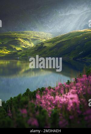 Eine wunderschöne Berglandschaft mit einem See, violetten Blumen und einer wunderschönen grünen Wiese. Eine Landschaft mit durchbrechenden Sonnenstrahlen. Berge in summ Stockfoto