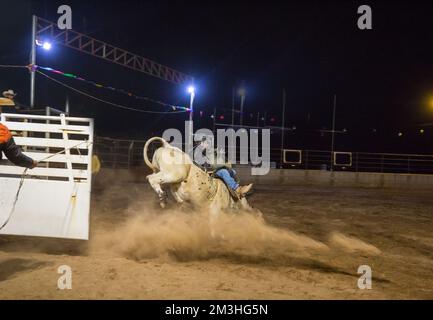 Ein Cowboy, der bei einem Stierkampf in einem Country Rodeo antritt Stockfoto