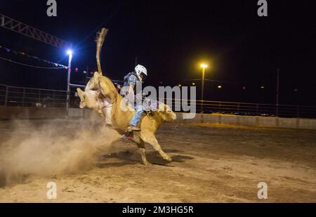 Ein Cowboy, der bei einem Stierkampf in einem Country Rodeo antritt Stockfoto