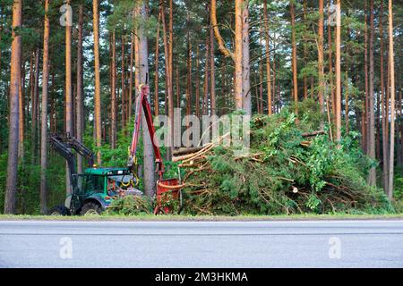 Traktor in der Nähe von Straßen entfernt gesägte Bäume. Schwere Geräte Stockfoto