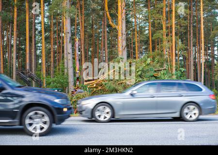 Traktor in der Nähe von Straßen entfernt gesägte Bäume. Autos in Bewegung verschwimmen. Stockfoto