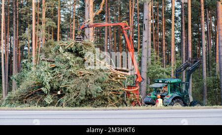 Traktor in der Nähe von Straßen entfernt gesägte Bäume. Schwere Geräte Stockfoto