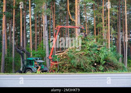 Traktor in der Nähe von Straßen entfernt gesägte Bäume. Schwere Geräte Stockfoto